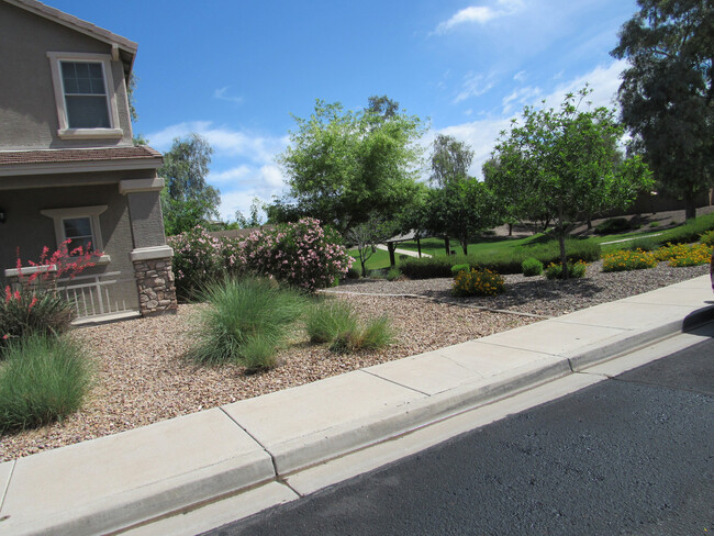 Building Photo - Great Home In Surprise