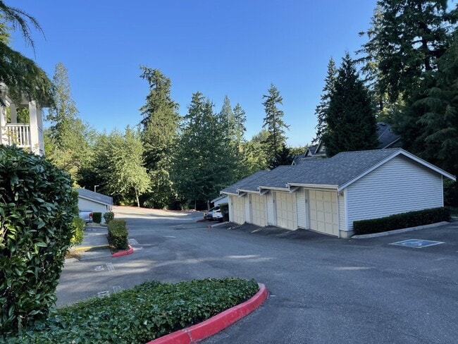 Building Photo - Bright, Spacious, Updated Condo with Separ...