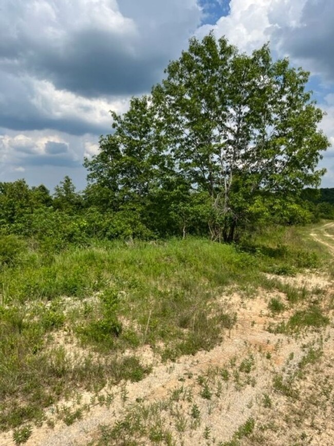 Building Photo - 465.95-ACRES! - WILL DIVIDE