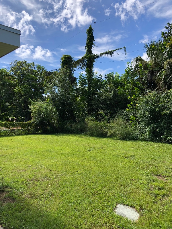 Foto del edificio - 3318 Thomas St