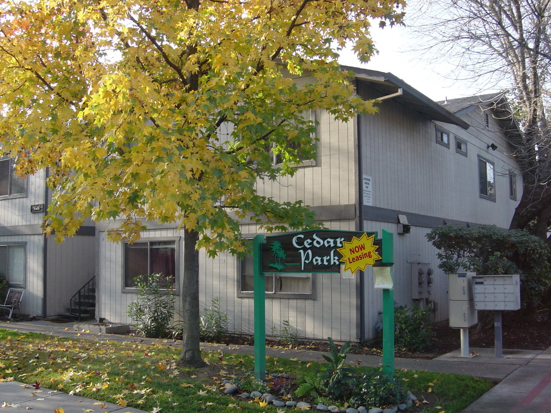 Primary Photo - Cedar Park II Apartments