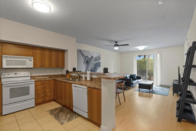 Photo - 255 NE 3rd Ave Apartment