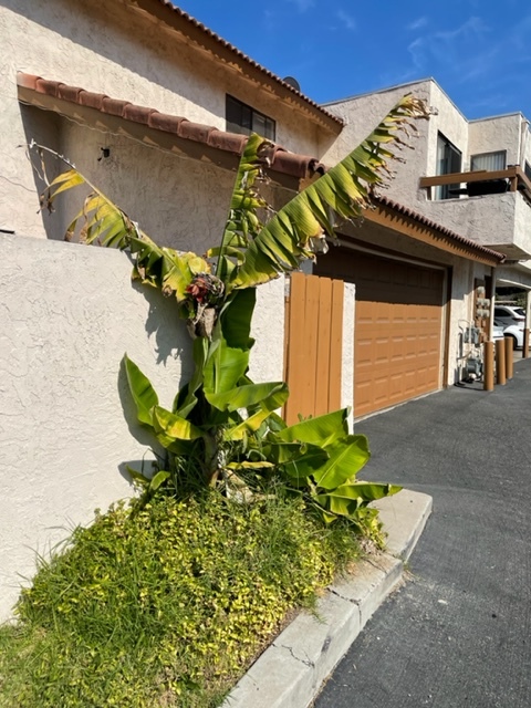 Entrance to property - 104 Avenida Las Brisas