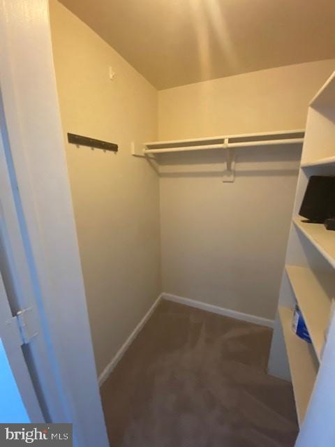Building Photo - 1721 Queens Ln