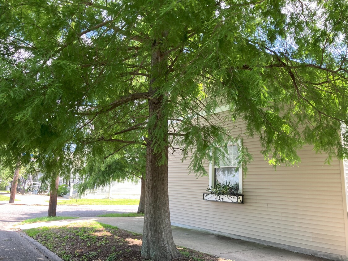 Cypress shaded cottage - 2039 Valence St