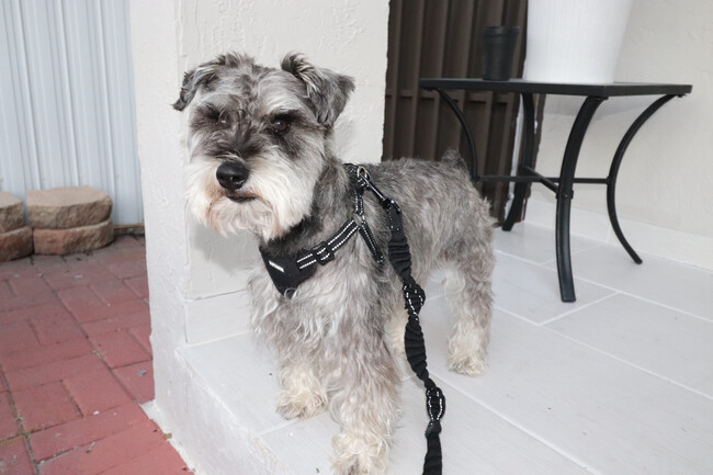 Pets allowed (with pet fee) - 3054B NW 15th St