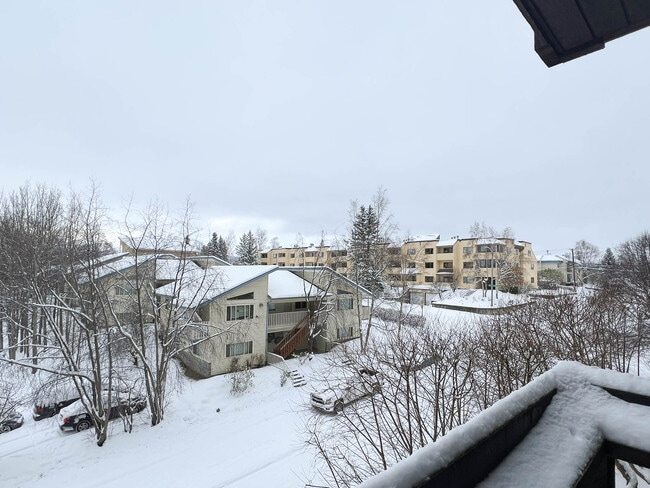 Building Photo - 1170 Denali St