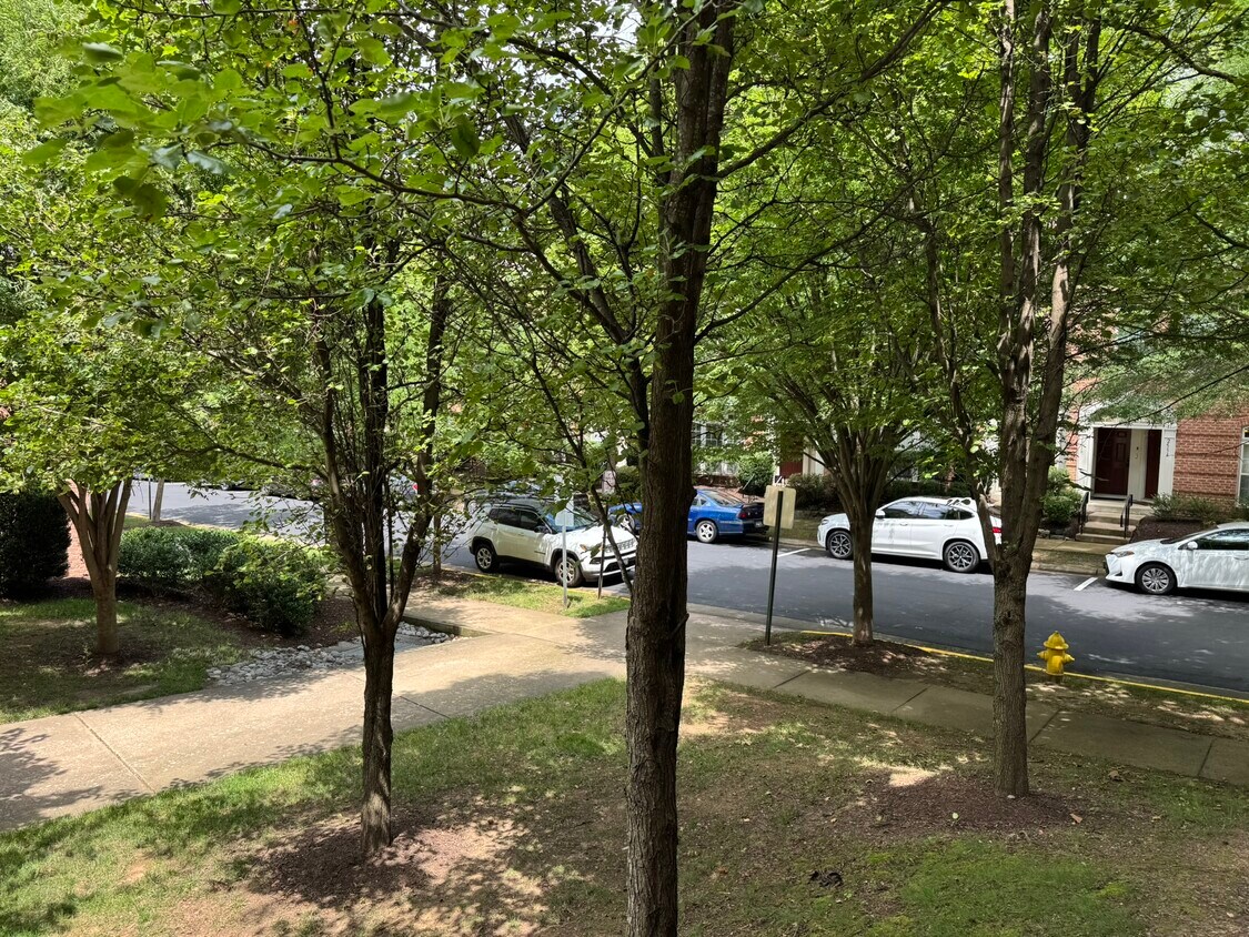 Foto principal - 2503 Eastbourne Dr
