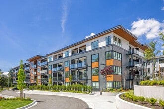 Building Photo - Wood & Water