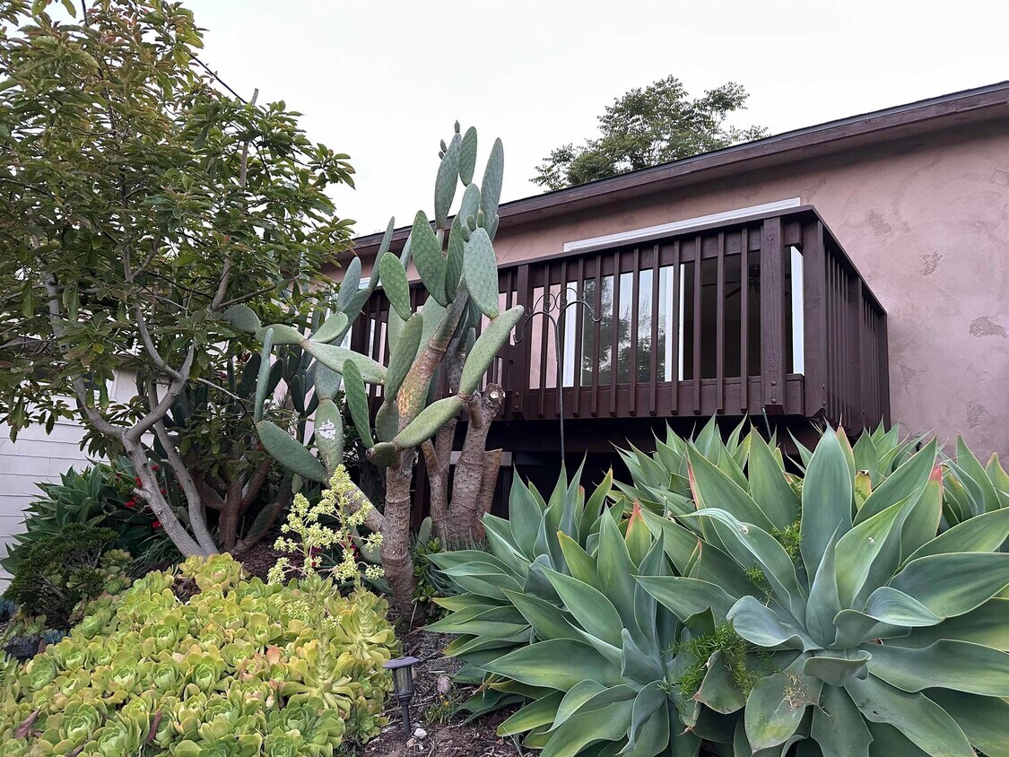 Foto principal - 1712 Bervy St