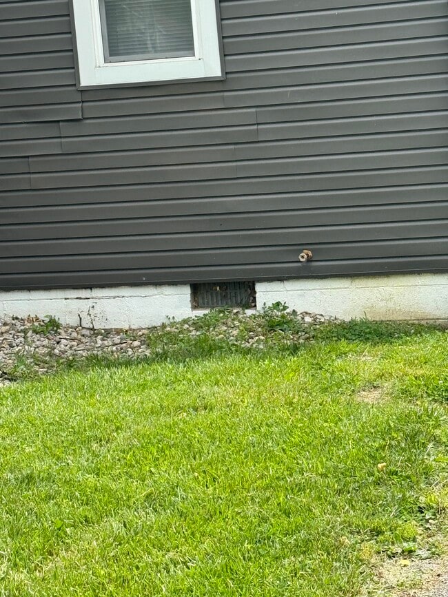 Yard work is completed by owner, home foundation painted - 756 Tyson Ave