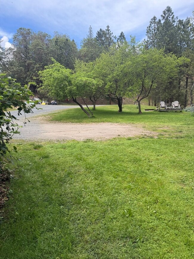 Foto del edificio - 3BED2BATH - LARGE FENCED BACK YARD, CENTRAL AC/HEAT, STAINLESS STEEL APPLIANCED, WASHER/DRYER HOOKUP