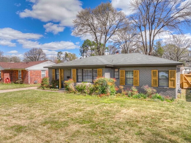 Colonial Acres East Memphis cutie! 3 bedrooms and tons of updates! Appliances included. - Colonial Acres East Memphis cutie! 3 bedrooms and tons of updates! Appliances included. Apartment