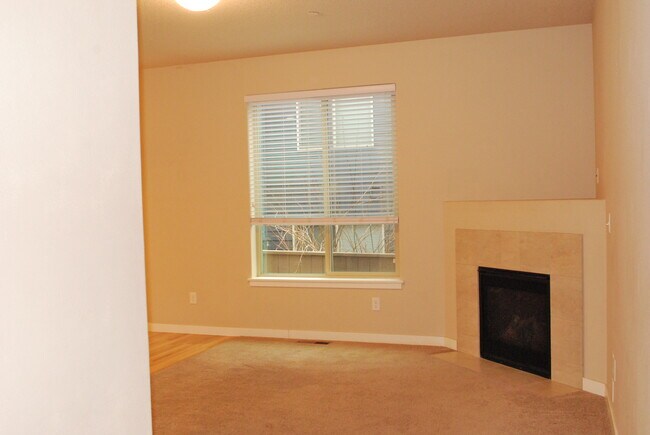 Fire Place and Living Room - 3138 NW 47th Dr