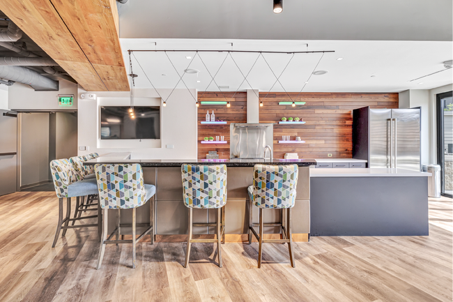 Interior Photo - Olive & Wooster