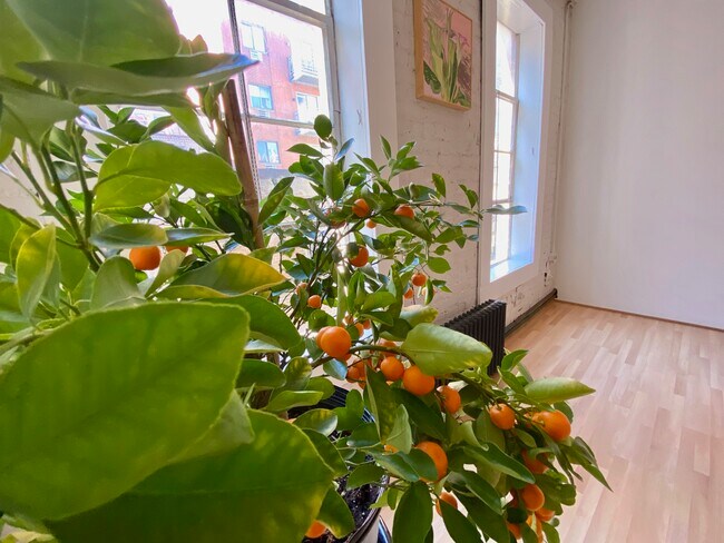 Foto del edificio - 181 Mott St