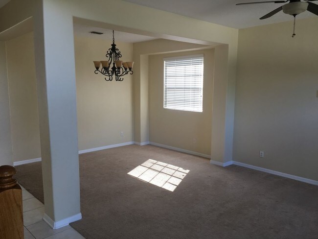 Building Photo - Gorgeous 4 Bedroom Palm Cove Rental
