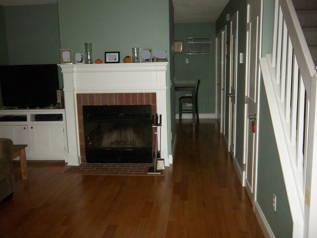 Living Room - 585 Park Rd