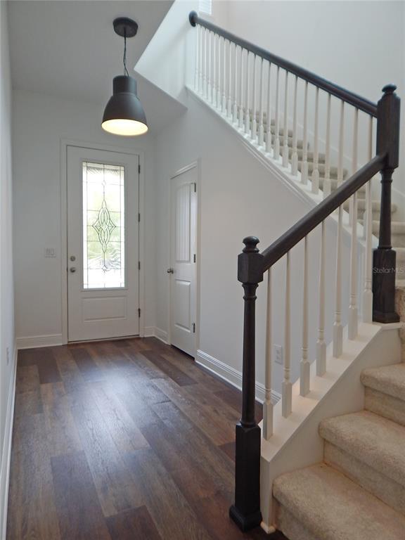 14242 Natures Reserve Dr, Lithia, FL 33547 House Rental in Lithia, FL