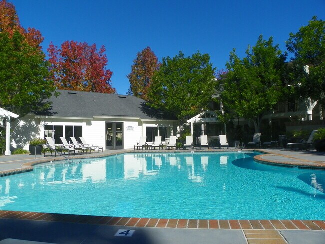 Pool - 23412 Pacific Park Dr