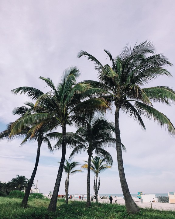Hialeah