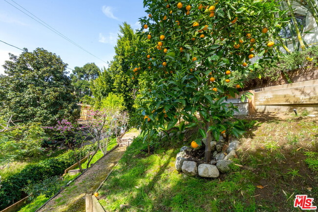 Foto del edificio - 7267 Packwood Trail