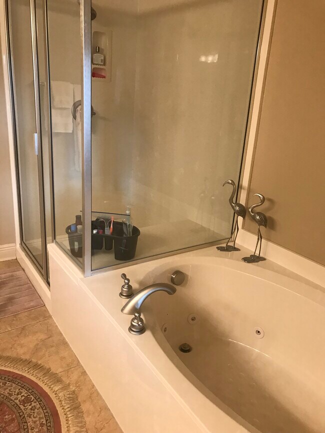Bañera de hidromasaje, ducha independiente - 413 Halteria Ln