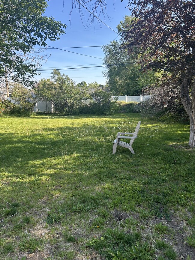 backyard - 2549 E 3020 S
