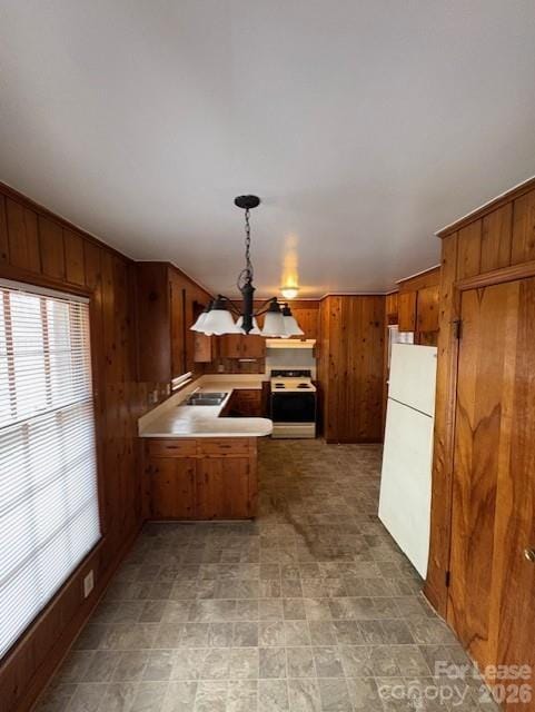 Building Photo - 2929 Amity Garden Ct