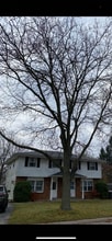 Building Photo - 831 Badger Ln