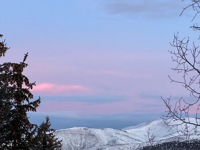 Building Photo - 107 Spring Creek Ct