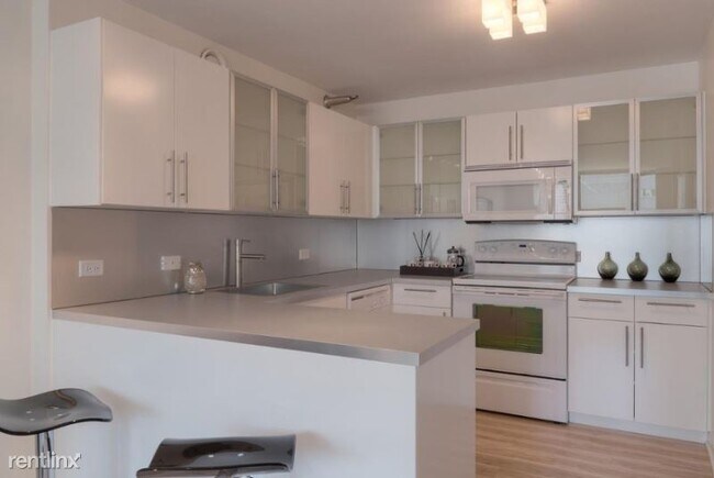 Foto del edificio - 1 br, 1 bath Apartment - 1000 N La Salle St