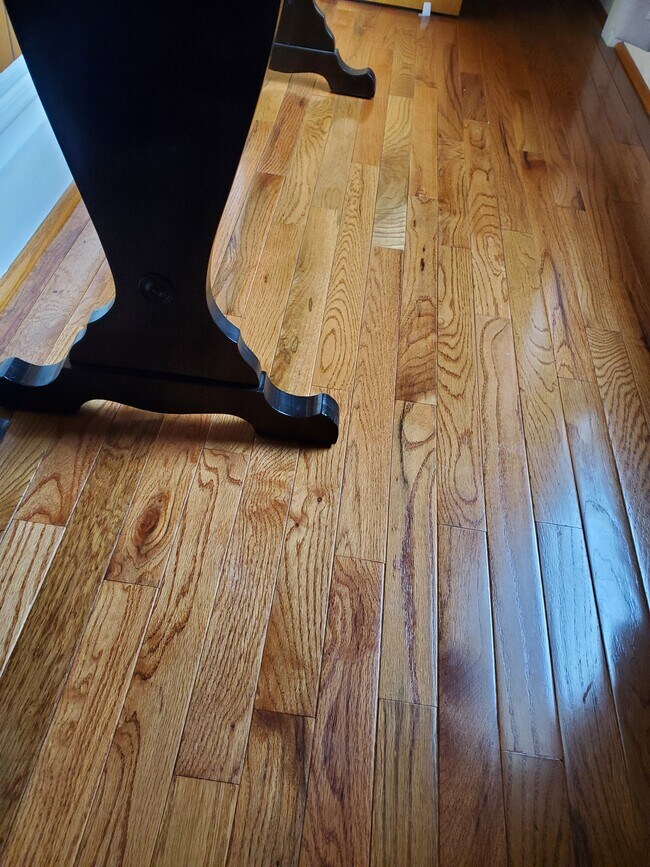 one of two rooms with beautiful new hardwood floors - 1505 S Bell Ave