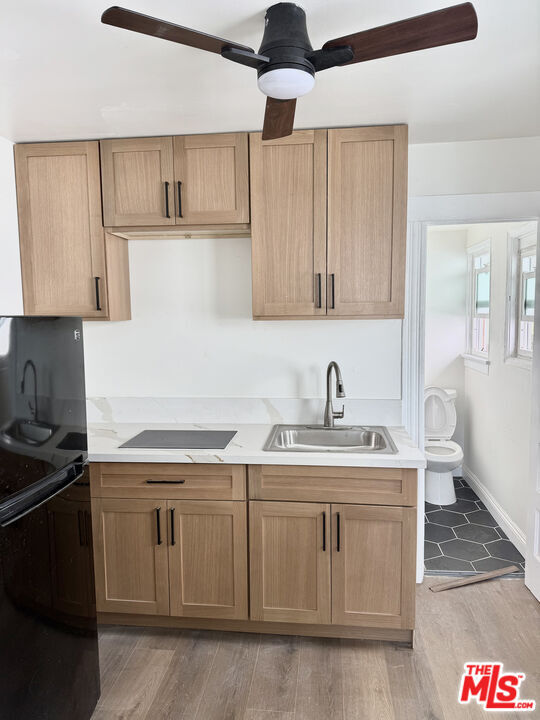 Building Photo - 44 Rose Ave