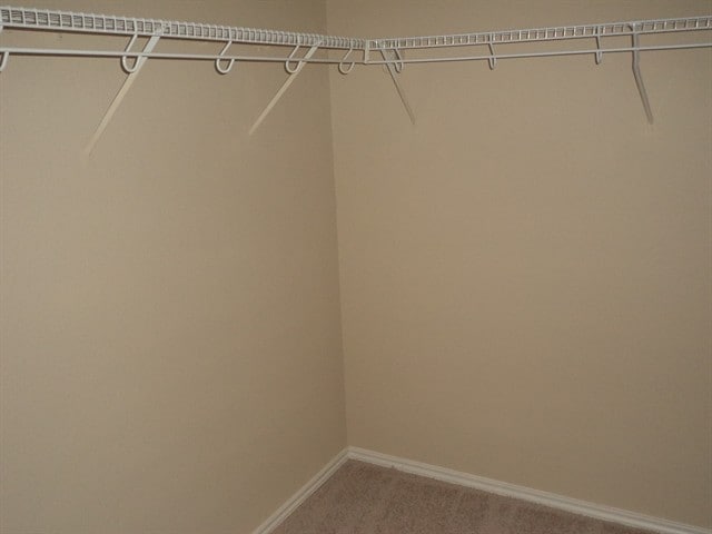 Building Photo - 2806 Lake Terrace Dr