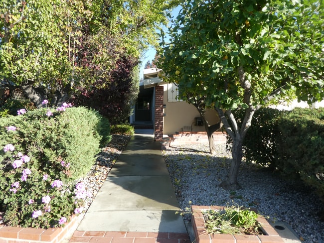 Building Photo - 974 Rose Ave