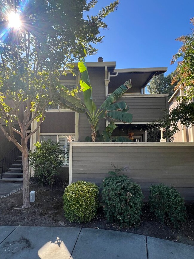 Building Photo - Modern & Renovated 2 Bed | 2 Bath Condo