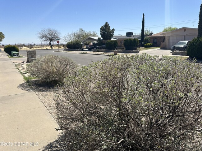 Building Photo - 5125 Round Rock Dr