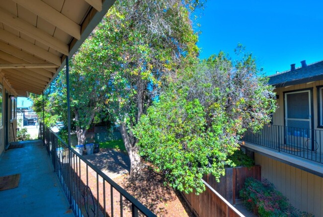 Beautiful shade tree as you walk in. - 3813 Barker Dr