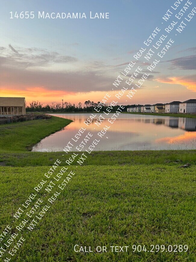 Building Photo - 14655 Macadamia Ln
