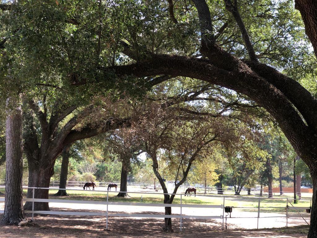 26411.1/2264112 DobbinHuffsmith Rd, Magnolia, TX 77354 House Rental