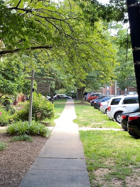 beautiful tree lined street - 1909 N Rhodes St