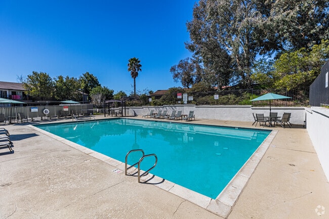 Piscina - Summer Creek Apartments