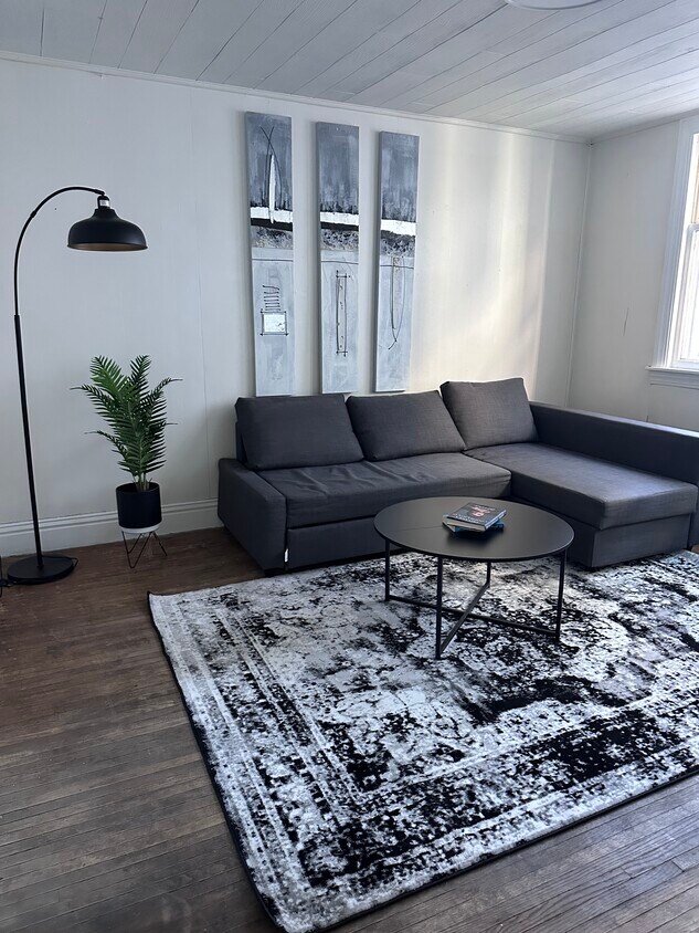 121 Bush St Unit Modern sleek parking, Buffalo, NY 14207 Apartments