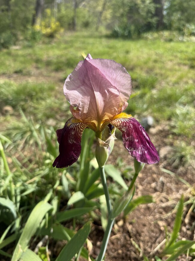 Foto del edificio - 740 Finn Long Rd