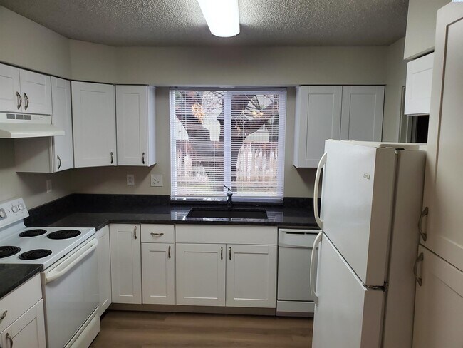 Building Photo - Newly renovated ground floor unit