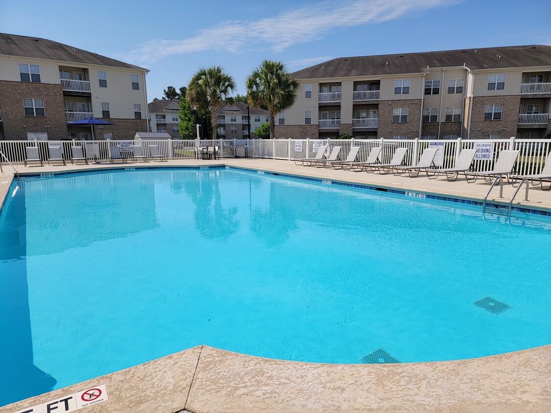 Piscina - Palisades at Carter's Mill