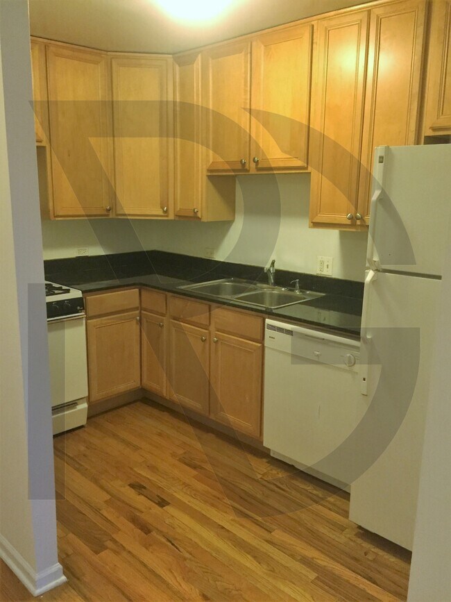 928 W Wilson Ave Unit 46001112, Chicago, IL 60640 Apartments in