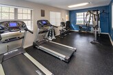 Located at 3535 Mountain Creek Rd in Chattanooga, Tennessee, this fitness center offers a well-equipped, single-floor exercise facility designed to support a comprehensive workout routine. The space features a bold color scheme with deep teal accent walls complemented by neutral tones, rubber flooring for safety and durability, and a textured ceiling with flush-mounted fluorescent lighting that keeps the area bright and functional throughout the day. A full-length wall of mirrors along one side of the room visually expands the space and allows users to monitor their form during exercise. Natural light filters in through multiple windows fitted with horizontal blinds, adding an airy quality to the environment. The cardio section is well-appointed with a row of treadmills and additional cycling equipment, including a recumbent bike. A dedicated free weights area features a tiered dumbbell rack alongside a multi-station strength training machine, accommodating a variety of resistance exercises. A wall-mounted flat-screen television provides entertainment during workouts. Posted fitness center rules ensure a safe and organized environment for all users. A keyed entry door with a glass panel provides secure, controlled access to the facility. Overall, the space delivers a practical and comfortable fitness experience in a compact, efficiently organized layout.