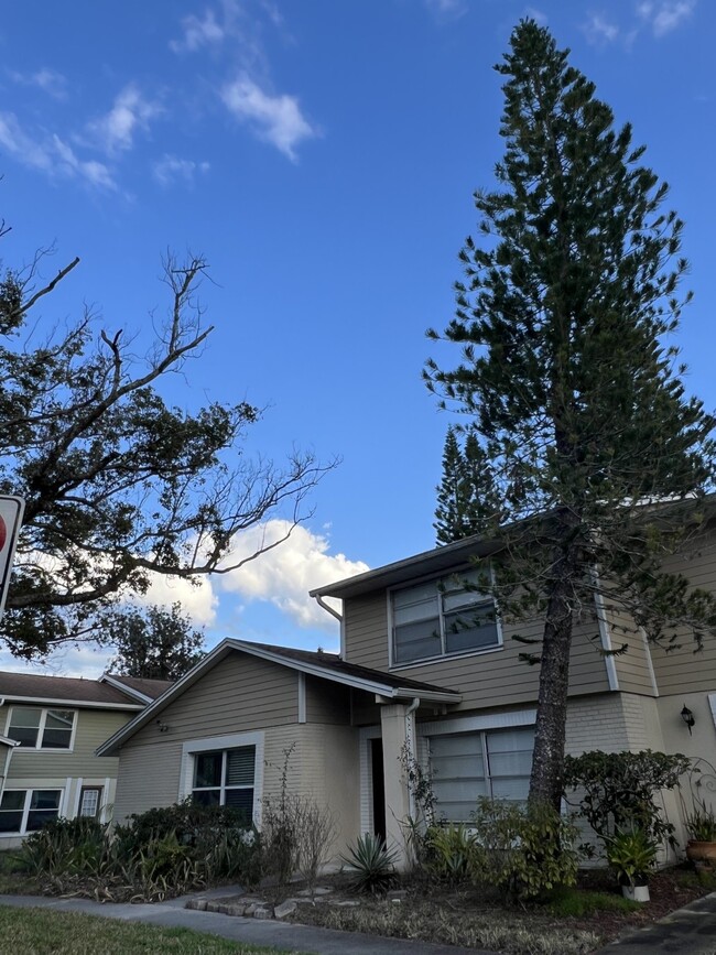 Photo - 14627 Pine Glen Cir Townhome